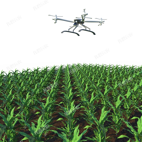 田間無(wú)人機(jī)式高通量植物表型采集分析平臺(tái)