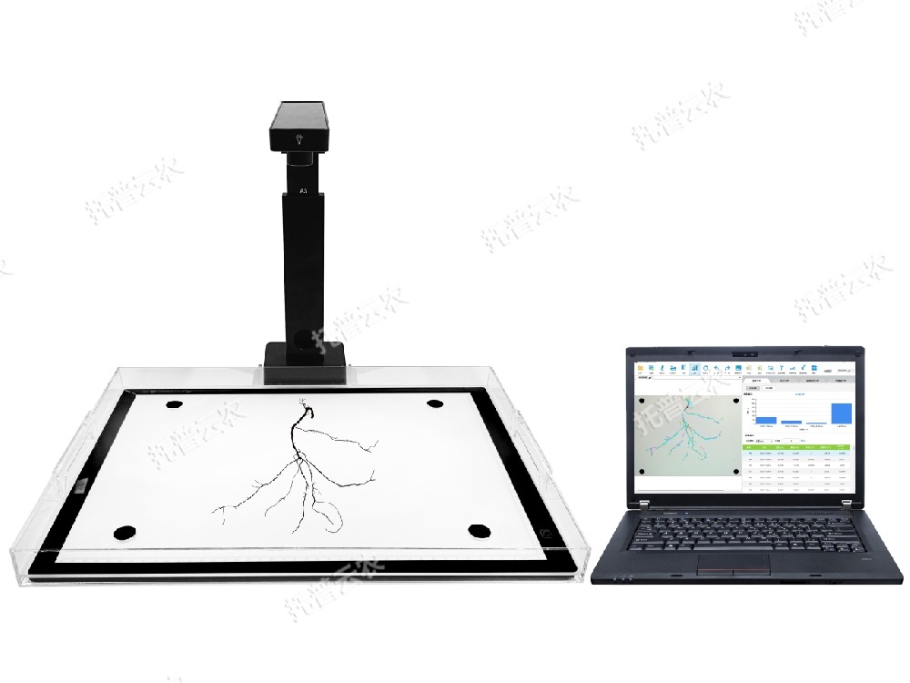 根系分析系統(tǒng)（拍照款）