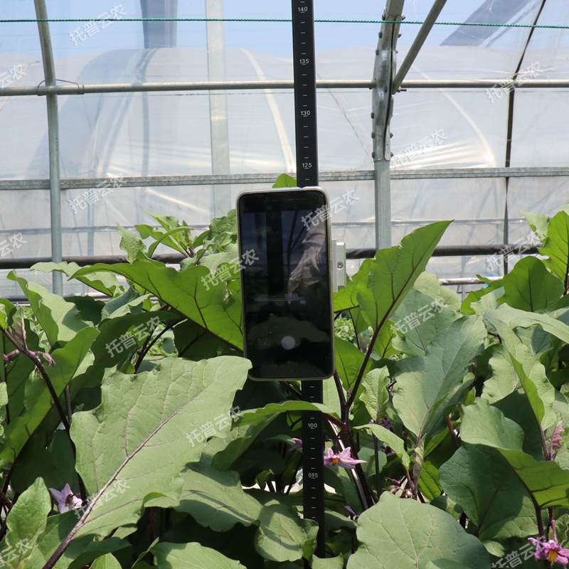 作物株高測量儀