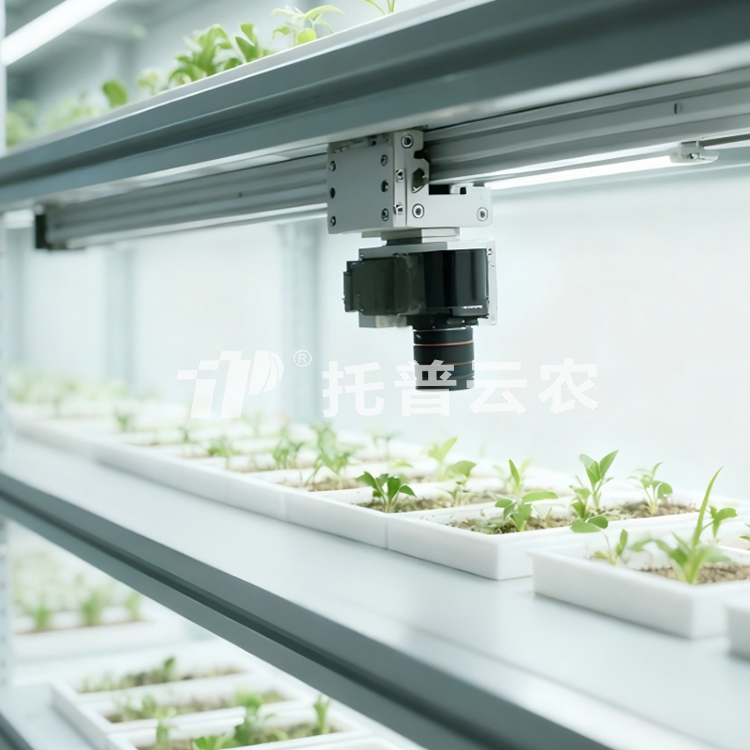 人工氣候室植物表型監(jiān)測系統(tǒng)