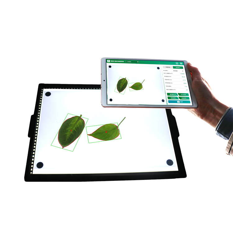 智能葉面積測量系統(tǒng)