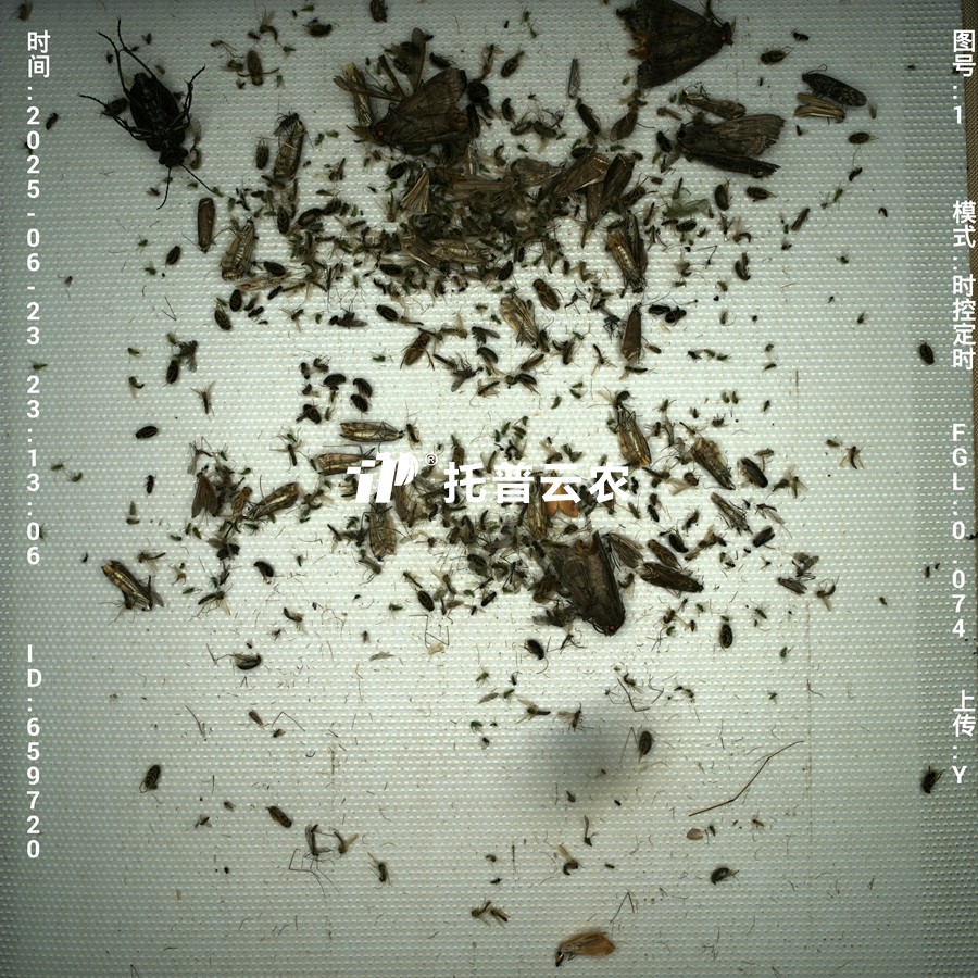 1. 高清成像_副本.jpg