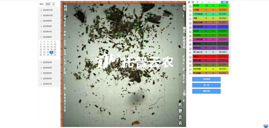 2. AI識別 自動(dòng)計(jì)數(shù)_副本.png
