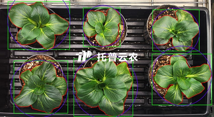 表型分析-環(huán)控型植物生長表型分析系統(tǒng).jpg