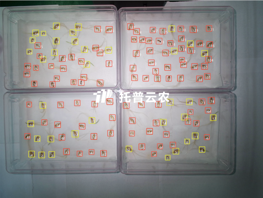 發(fā)芽率識別-高通量植物環(huán)境調(diào)控+高通量種子智能萌發(fā)鑒定系統(tǒng).png